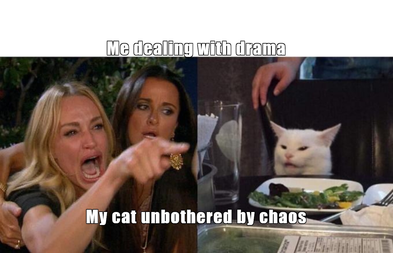 Me dealing with drama
My cat unbothered by chaos