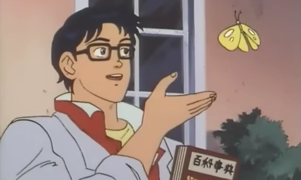 Is This a Pigeon