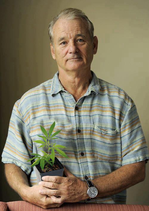 Bill Murray