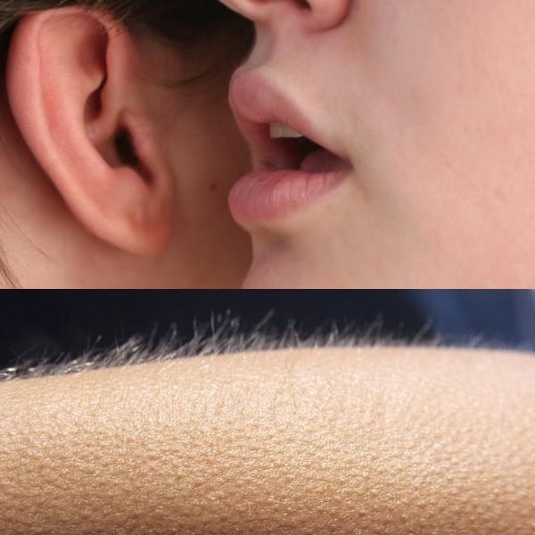 Whisper in Ear Goosebumps